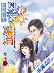 掳情掠爱：四少夜欢难消
